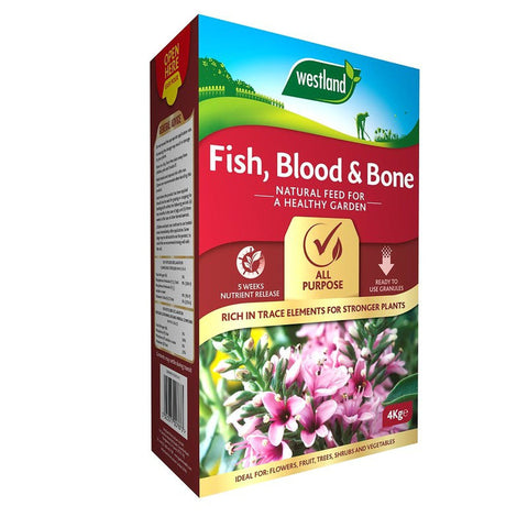 Fish, Blood and Bone