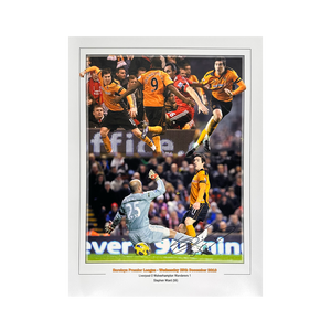 Stephen Ward Signed Wolverhampton Wanderers 16x12 Image