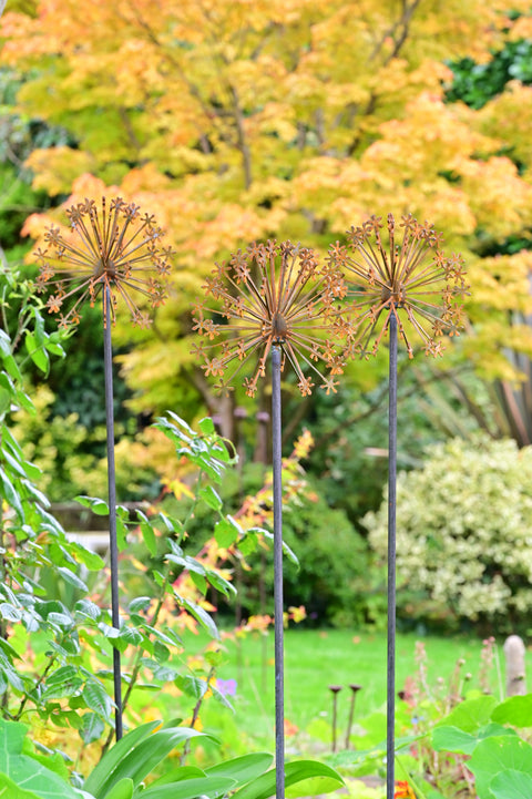 Rusty Metal Allium Flower