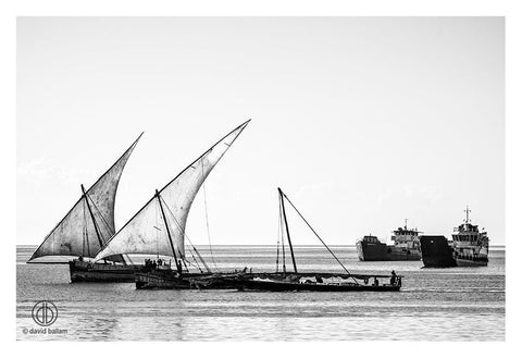 David Ballam - ZAN_58