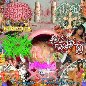 Descriptive image text