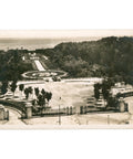 Alger, Algeria - Jardin d’Essai Postcard Mid - 20th Century