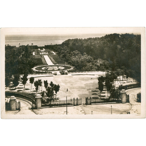 Alger, Algeria - Jardin d’Essai Postcard Mid - 20th Century