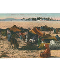 Algeria Postcard – Nomadic Camp North Africa Dessert, Early 20th Century