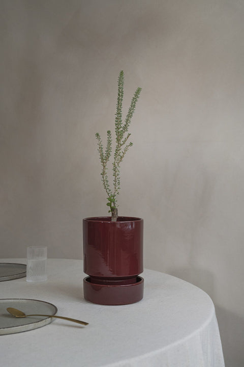 Hoff Plant Pot Glazed