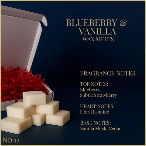 Blaubeere &amp; Vanille – Duftwachs 65 g