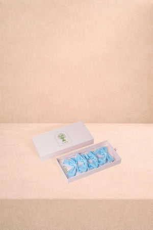 Powder Blue Velvet Bow Collection