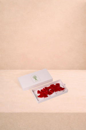 Red Romance Velvet Bow Collection
