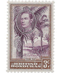 British Honduras Stamp George VI 1938 3 Cent Cohune Palm