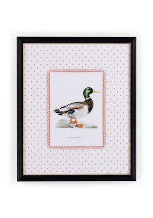 Feather and Grace Duck Print III