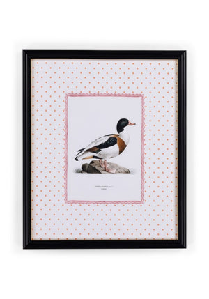 Duck IV Framed Print- The Prettiest By Far