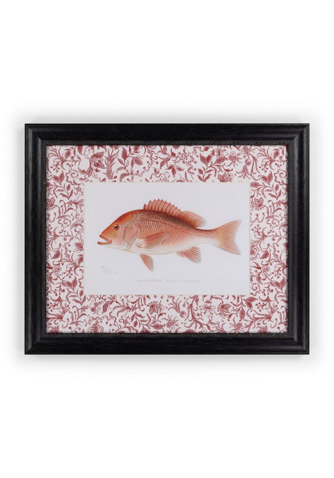 Fish Study I  Vintage Character for Every Corner