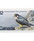 Canada 1978 12 - Canadian Cent Postage Stamp Peregrine Falcon (Falco peregrinus)