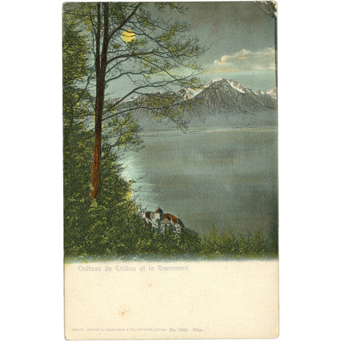 Château de Chillon and Le Grammont, Montreux, Switzerland Postcard