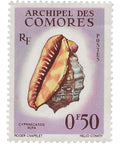 Comoros Stamp 1962 0.5 French African CFA franc Red Helmet Shell (Cypraecassis rufa)