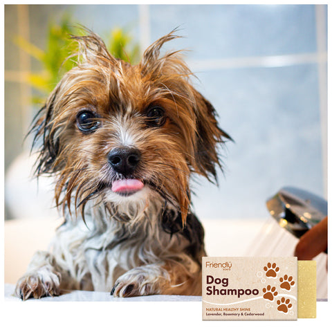 Hundeshampoo