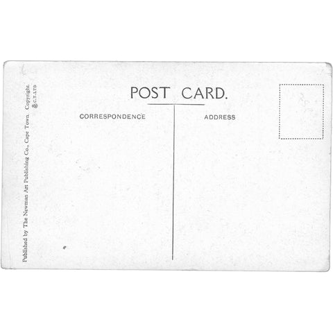 Durban, South Africa Aerial View –Early 20th Century Postcard