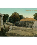 Durban, South Africa Mitchell Park Zoo – Early 20th Century Postcard