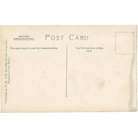 Durban, South Africa Mitchell Park Zoo – Early 20th Century Postcard