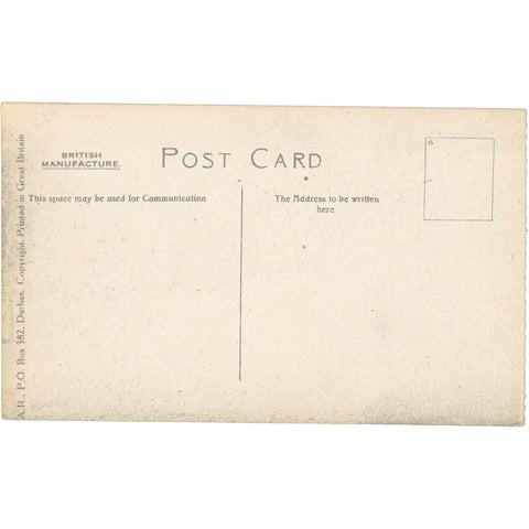 Durban, South Africa The Bay from Esplanade – Scenic Maritime View Early 20th Century Postcard