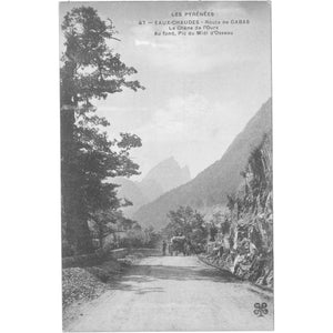 Descriptive image text