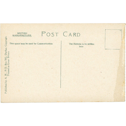 Esplanade and Bay, Durban – Vibrant Coastal View Early 20th Century Postcard