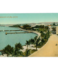 Esplanade and Bay, Durban – Vibrant Coastal View Early 20th Century Postcard