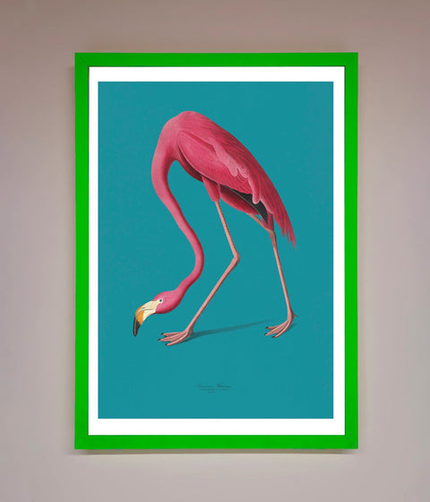 Flamingo Walks Blue Framed Print