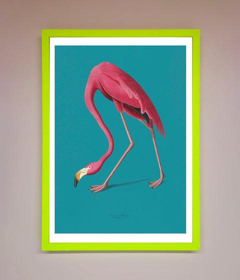 Flamingo Walks Blue Framed Print
