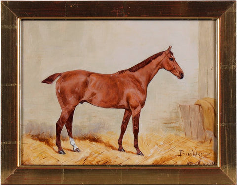 George Paice (London 1854 - 1925) - Race horse “Bushley“ in the stable