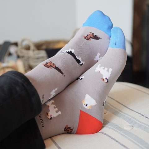 Grey Dog Pet Pair Bamboo Sock Set