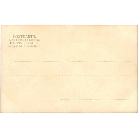 Hamburg, Germany – Swans in Hohenfelder Bay Postcard Early 20th Century