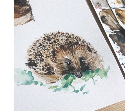 Hedgehog greetings card