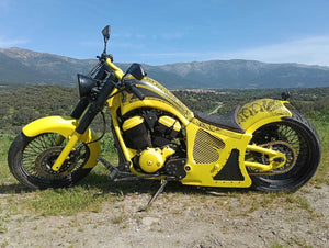 Descriptive image text