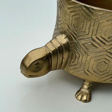 Maxlume - Turtoise Solid Cast Brass Metal Planter Pot for Succulents & Plants | Safari Planter | Animal Pot | Unique Planter |