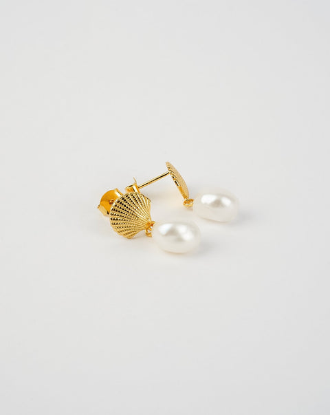 Sea Shell Pearl Earrings