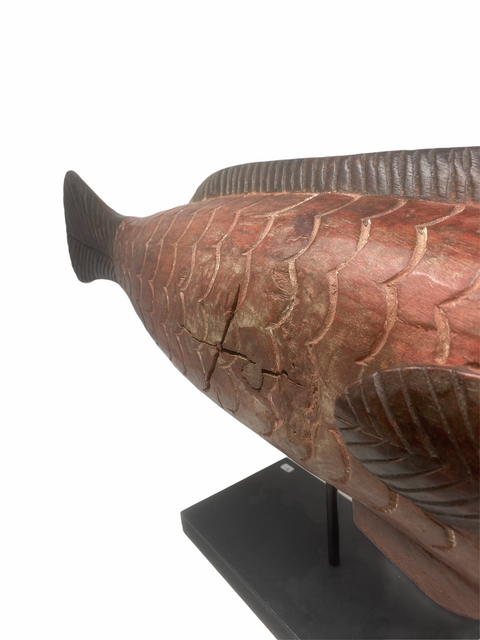 Marionettenfisch Mali - Groß