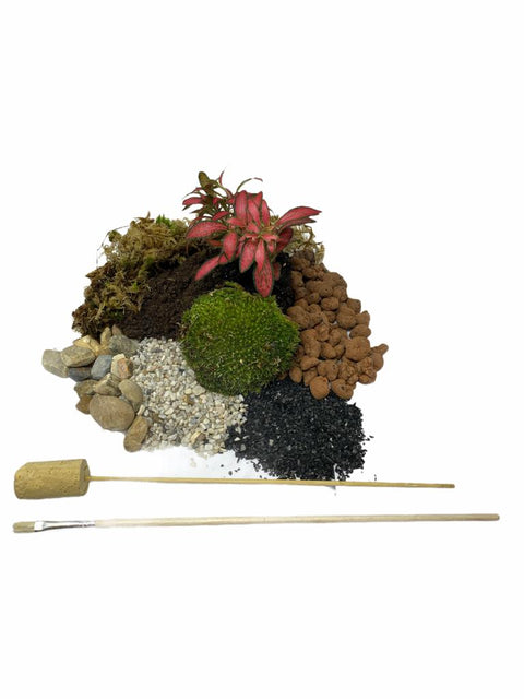 Terrarium Kit ingredients - small no glass