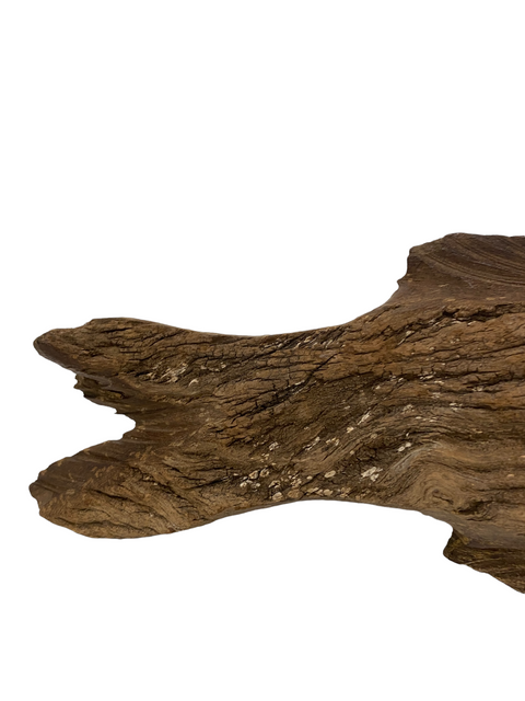 Handgeschnitzter Fisch aus Treibholz - (1301)