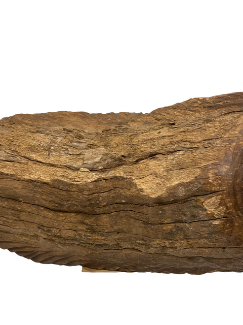 Handgeschnitzter Fisch aus Treibholz - M (1205)