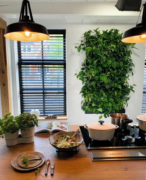 Frameless Living Wall System