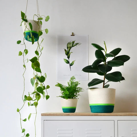 Planter Basket 100% cotton (17.3) Green