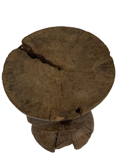Tonga-Hocker - (6,5)