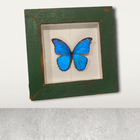 Schmetterling - Holzrahmen groß blau (111.1)