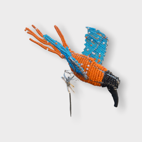 Perlenbesetzte Gartenvögel – Südafrika – Orange/Blau