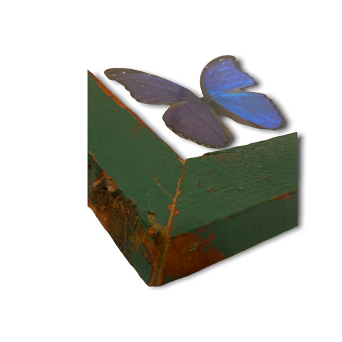 Papillon - grand cadre en bois bleu (111.1)