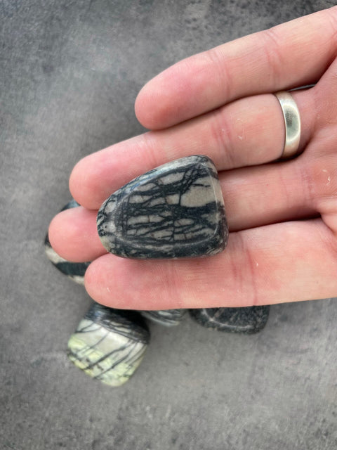 Spinnennetz Jaspis - Trommelstein