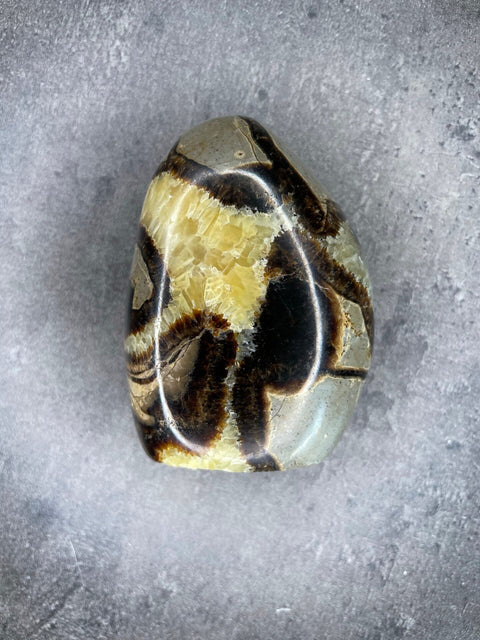 Septarie - Freiform