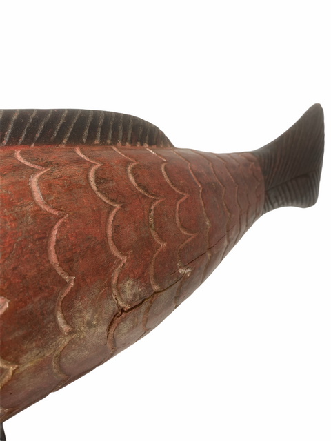 Marionettenfisch Mali - Groß