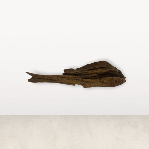 Driftwood Hand Carved Fish - (L10.5)